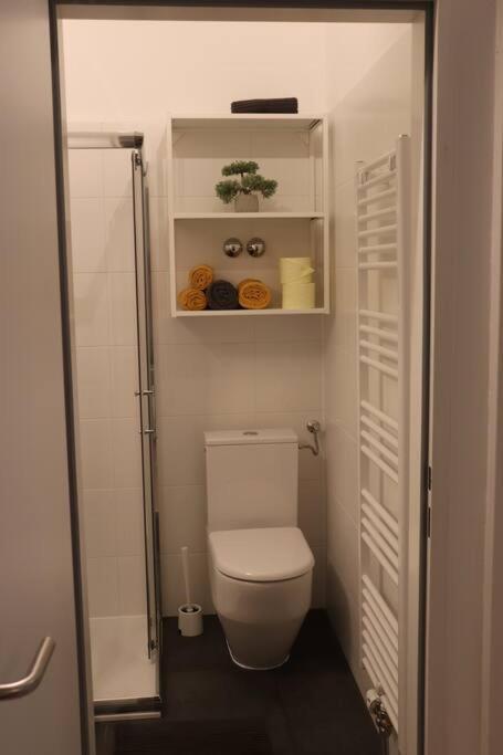 גראץ City Apartment Rudolf 26M2 מראה חיצוני תמונה